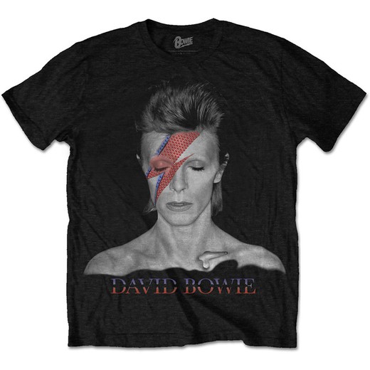 Camiseta David Bowie unisex: Aladdin Sane