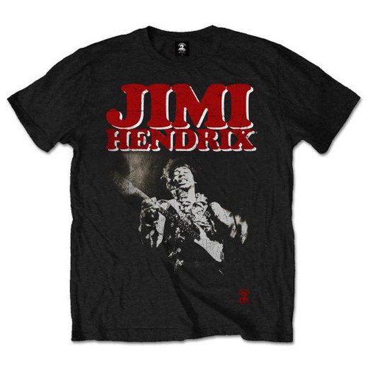 Camiseta Jimi Hendrix unisex: Block Logo