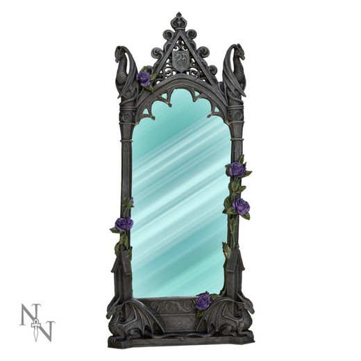 Dragon Beauty Mirror (As) 62Cm