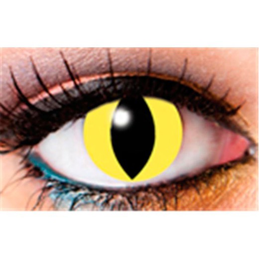 Eintägige Cat Eye Kontaktlinsen