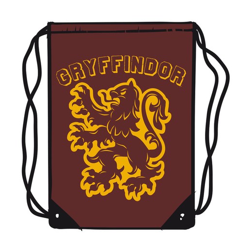 Harry Potter sports bag.