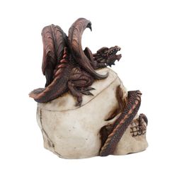 Calavera Draconic Craniotomy