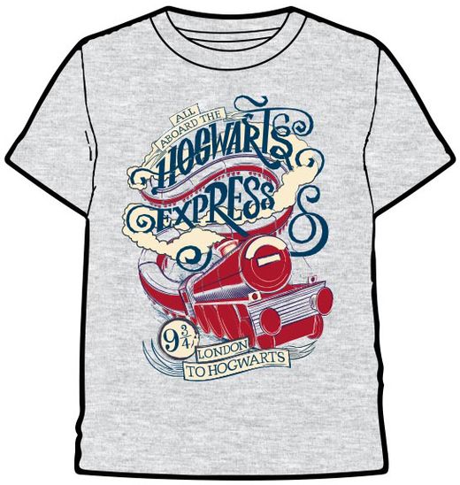 Camiseta Hogwarts Express Gris