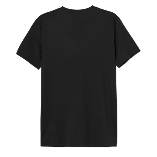 Camiseta Pink Floyd Prisma