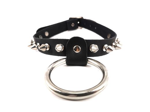 Collar pinchos 1 hilera con aro