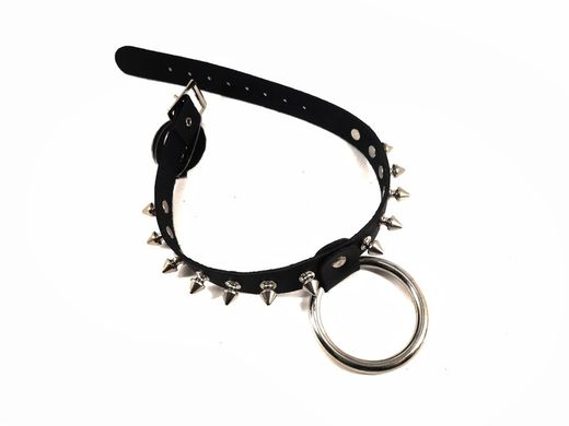 Collar pinchos 1 hilera con aro