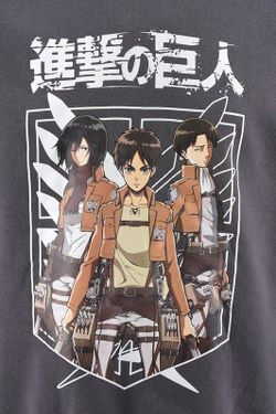 Sudadera Cap Attack on Titan Grey Japan Letras