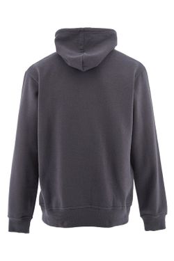 Sudadera Cap Fairy Tail Grey